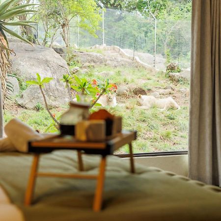 Pumbaa Wildlife Park & Accommodation Mbombela Exterior foto