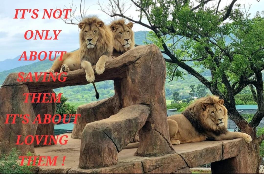 Pumbaa Wildlife Park & Accommodation Mbombela Exterior foto