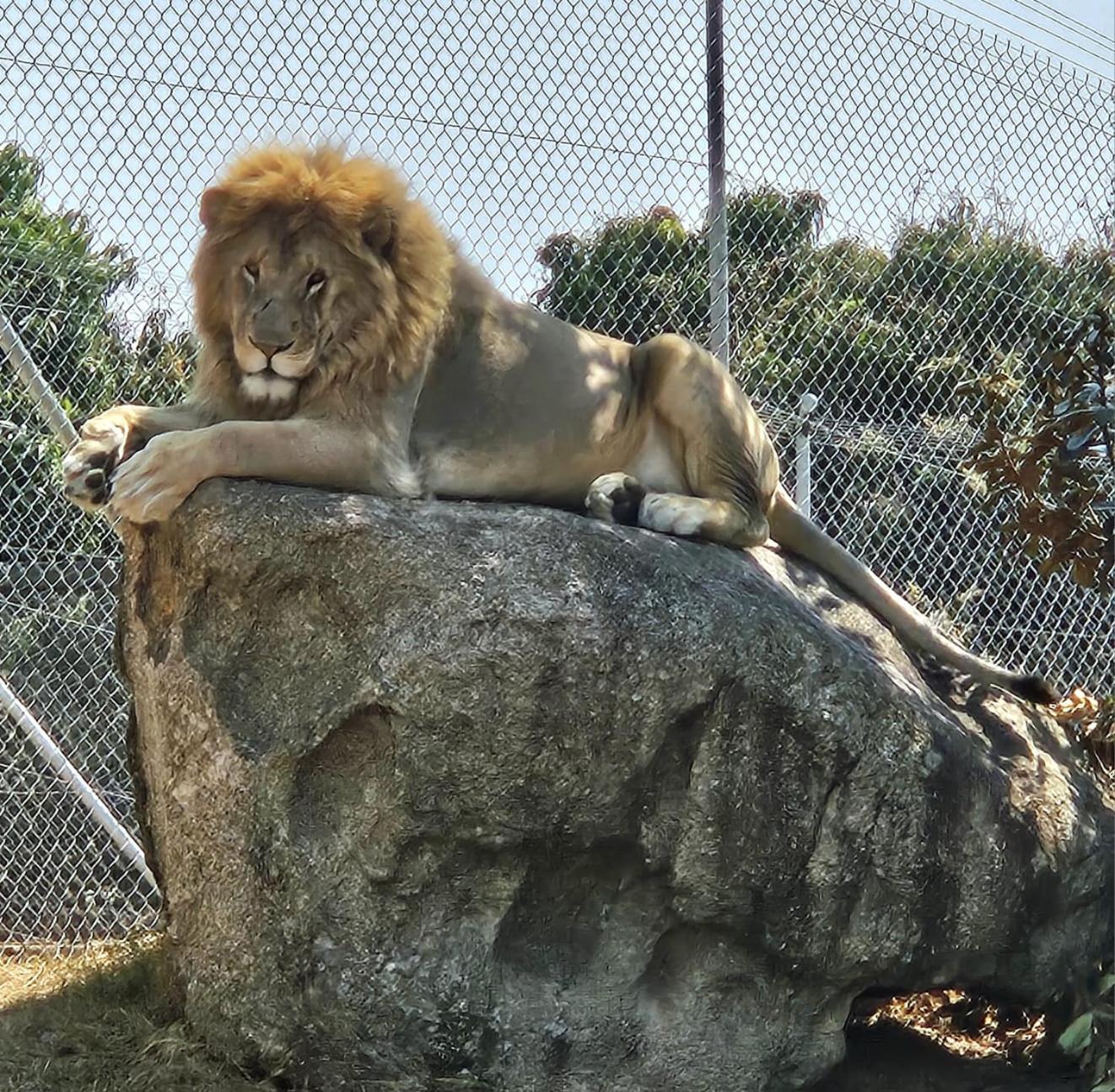 Pumbaa Wildlife Park & Accommodation Mbombela Exterior foto