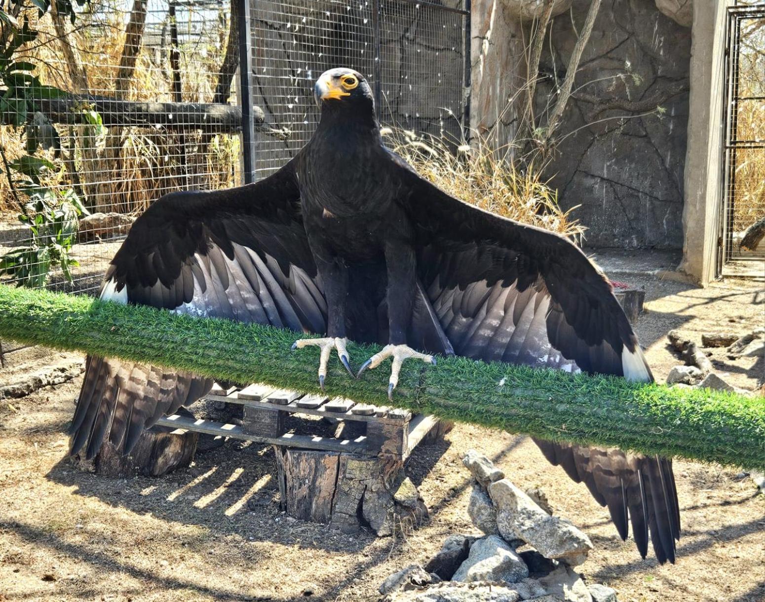 Pumbaa Wildlife Park & Accommodation Mbombela Exterior foto